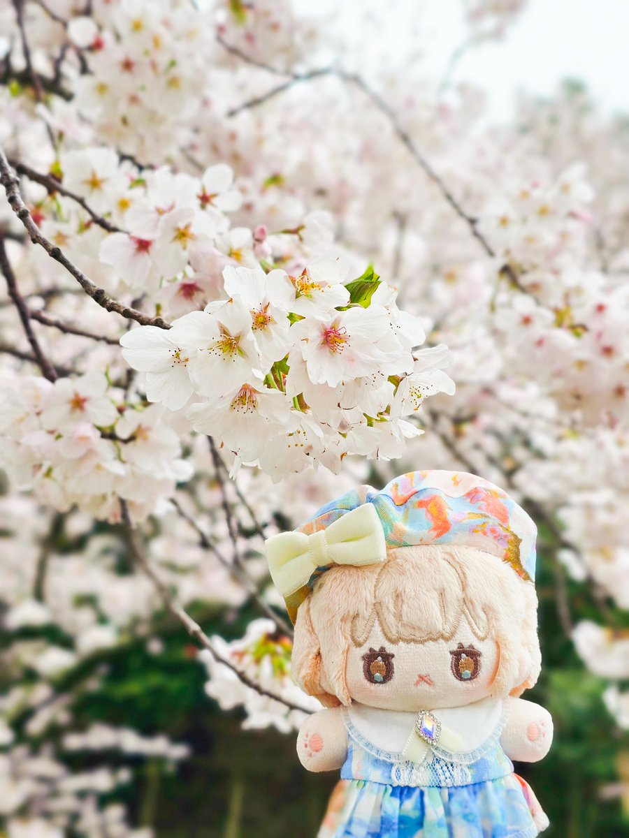 pixelmoong's tweet photo. 🌸봄몬듀🌷 https://t.co/QwOi9YOx34