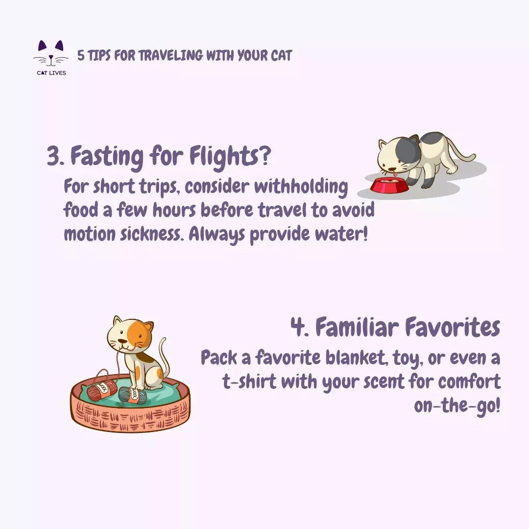 CatlivesUK's tweet image. Planning a purrfect adventure with your feline friend? We've got 5 tips for stress-free cat travel!
➡️Follow us for more  on Everything Cat 
#TravelWithCats #PetTips #CatsOfTwitter #CatsOfX #Cat