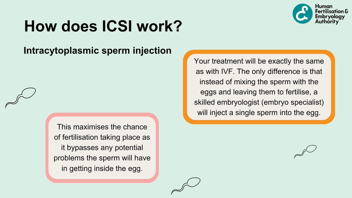 For around half of heterosexual couples who are having problems conceiving, the cause of infertility is sperm-related. ICSI is the most common and successful treatment for male infertility. For more information, visit our website bit.ly/HFEA-ICSI #FertilityTreatment