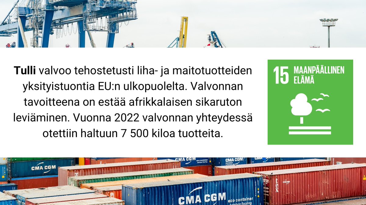 Valtiolla.fi đ«đź (@valtiollafi) on Twitter photo ValvontatehtĂ€vĂ€t ovat osa <a href="/SuomenTulli/">Tulli</a>'n työtĂ€ #SDG15 ja #Agenda2030 edistĂ€miseksi. MitĂ€ muuta Tullissa tehdÀÀn kestĂ€vĂ€n kehityksen eteen? Lue lisÀÀ toimintavuoden 2022 vastuullisuusraportilta. đ
tulli.fi/-/tullin-vastuâŠ
#KestĂ€vyysYhdessĂ€ #Vastuullisuusraportointi #KestĂ€vyys ValvontatehtĂ€vĂ€t ovat osa <a href="/SuomenTulli/">Tulli</a>'n työtĂ€ #SDG15 ja #Agenda2030 edistĂ€miseksi. MitĂ€ muuta Tullissa tehdÀÀn kestĂ€vĂ€n kehityksen eteen? Lue lisÀÀ toimintavuoden 2022 vastuullisuusraportilta. đ
tulli.fi/-/tullin-vastuâŠ
#KestÀvyysYhdessÀ #Vastuullisuusraportointi #KestÀvyys