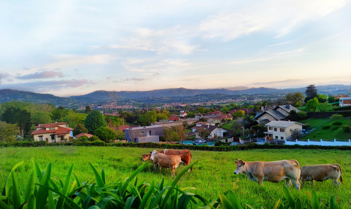 Mañana de nubes blancas flotantes por los cielos de Cabueñes. Mirada desde el Somió rural con una temperatura de 14°c. @AEMET_Asturias @eltiempotpa @ElTiempoA3 @ElTiempoes @Tiempo_Mercedes