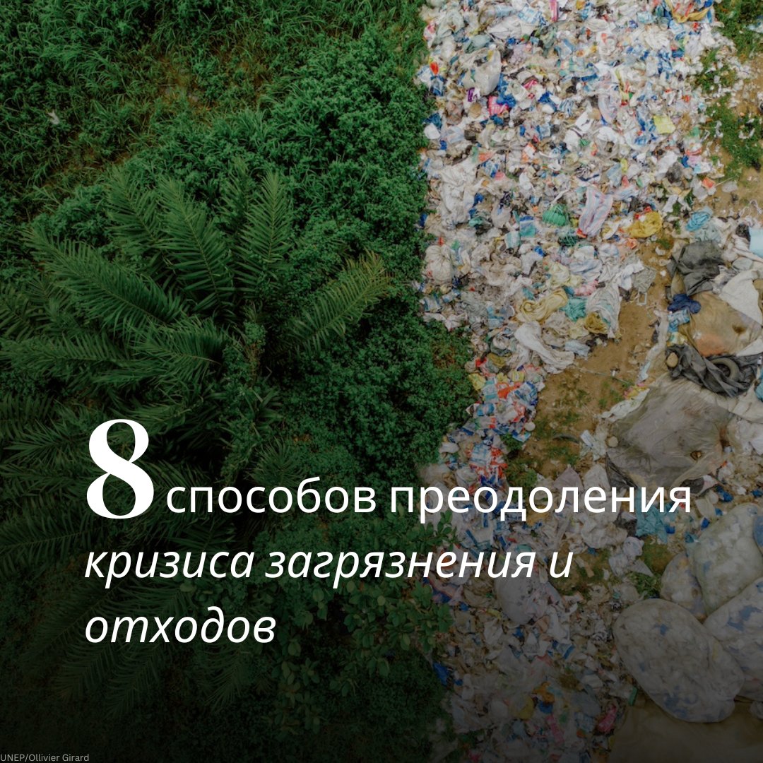 А вы готовы изменить себя и дать #бойзагрязнению?

От управления отходами до борьбы с пластиковым загрязнением - вот 8 способов, с помощью которых можно изменить наш мир: bit.ly/3TOOUPu

#ZeroWaste #BeatWastePollution #НольОтходов
Больше карточек: instagram.com/unep_russian/