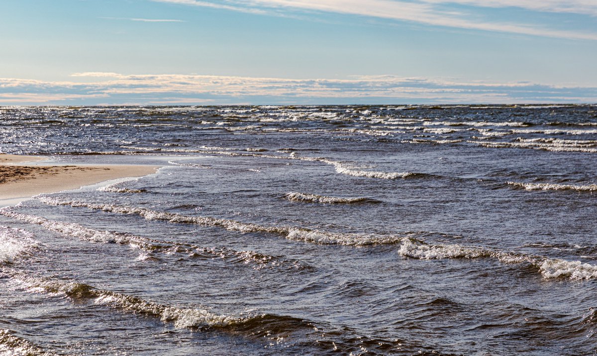 Mikroorganismer från sötvatten liftar på #mikroplast till #havet. Men väl där blir de utkonkurrerade av saltare arter. havet.nu/liftare-pa-mik…
#havsforskning @umeauniversitet