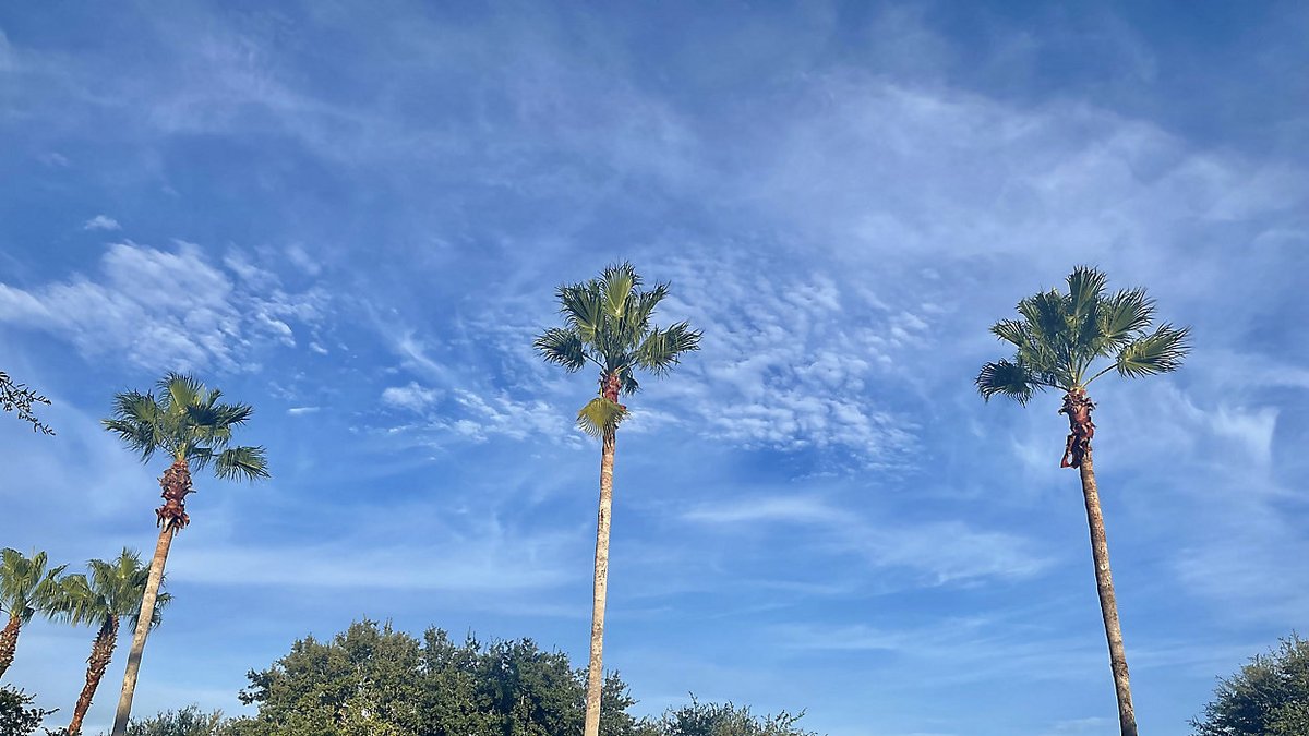 More warm and dry weather is in store for Tuesday with high pressure still in control. Highs will reach the low 80s this afternoon under a blend of sun and clouds. ☀ mynews13.com/fl/orlando/wea…