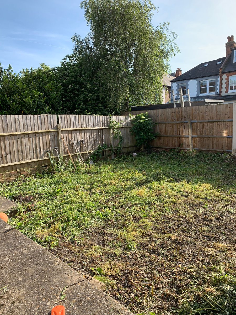 Local resident Melissa borrowed a hedge trimmer from the Hammersmith @libraryofthings to clear her garden, instead of buying one. 'I only ever do this once a year, so it was great to have the cordless hedge trimmer to power through - I got it done in a day.'