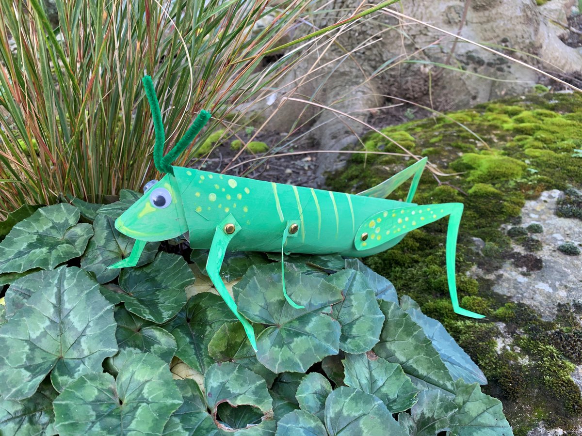 K_Cornerstone_'s tweet photo. We’re heading into our 2nd week of craft activities at ARTworks in the @Newlands_Centre 

Interested in creating a bug hotel, clay ornaments, or even a grasshopper? Open to everyone, but particularly suited for kids aged 5+

All free! Message to book. Dates/times on the poster😊 https://t.co/MDdAh25v1C