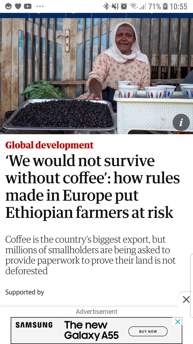 'The EUDR bans the sale of coffee, rubber, cocoa and other products if companies cannot prove that it did not come from deforested land. Environmentalists have hailed it as an historic achievement.

Yet Ethiopia’s coffee industry claims the new rules are unfair since