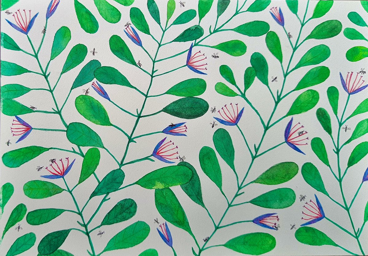 Journal of Ecology (@jecology) on Twitter photo A tribute to the association between #plants & #pollinators, painted with watercolours & colour pencils, by Chethana Casiker
🧵2/8 A tribute to the association between #plants & #pollinators, painted with watercolours & colour pencils, by Chethana Casiker
🧵2/8