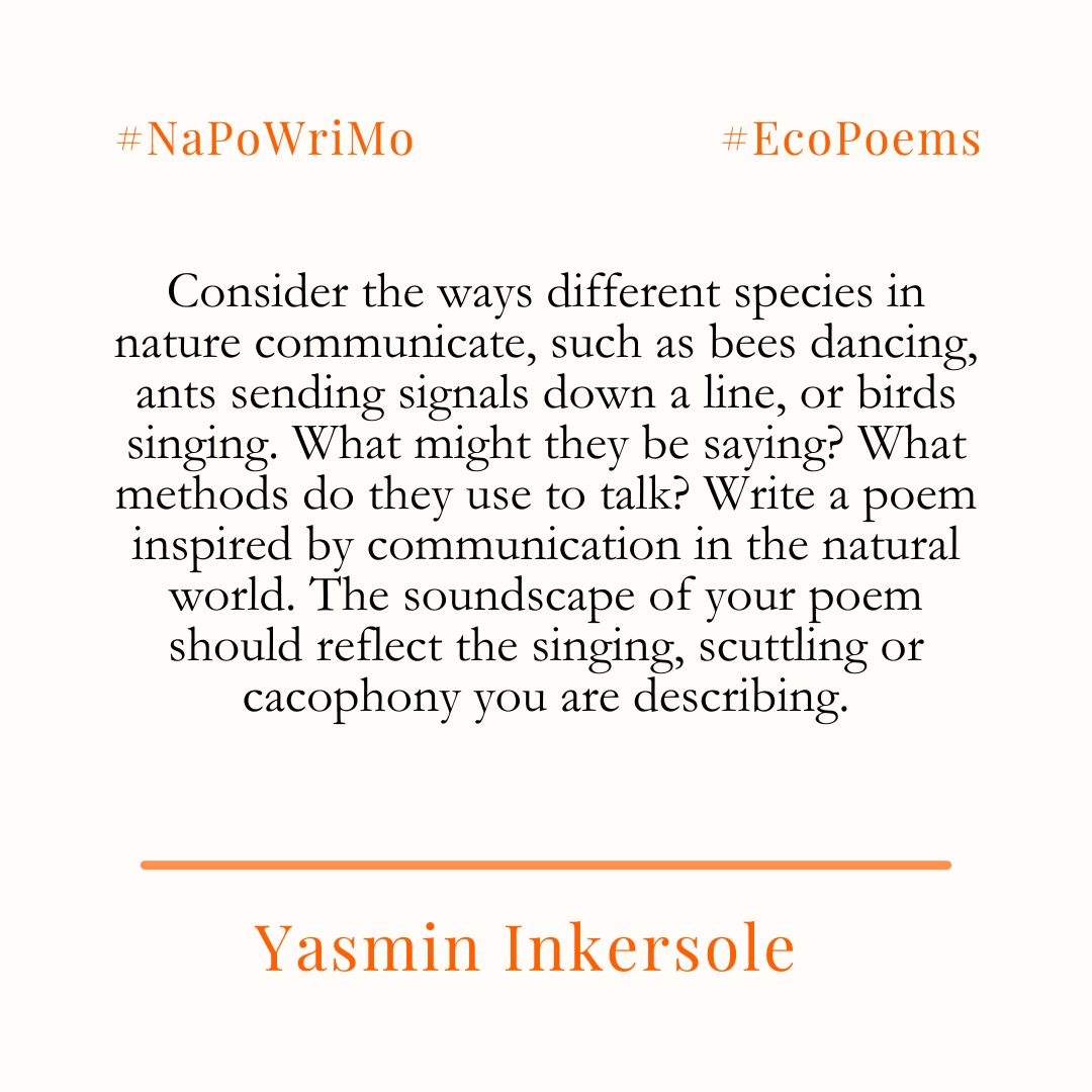 Happy #NaPoWriMo!  

The challenge to write a poem every day of April has begun and to help you on your way The Poetry Society will be providing a prompt each day - today's is from Yasmin Inkersole!  

Check back here for more