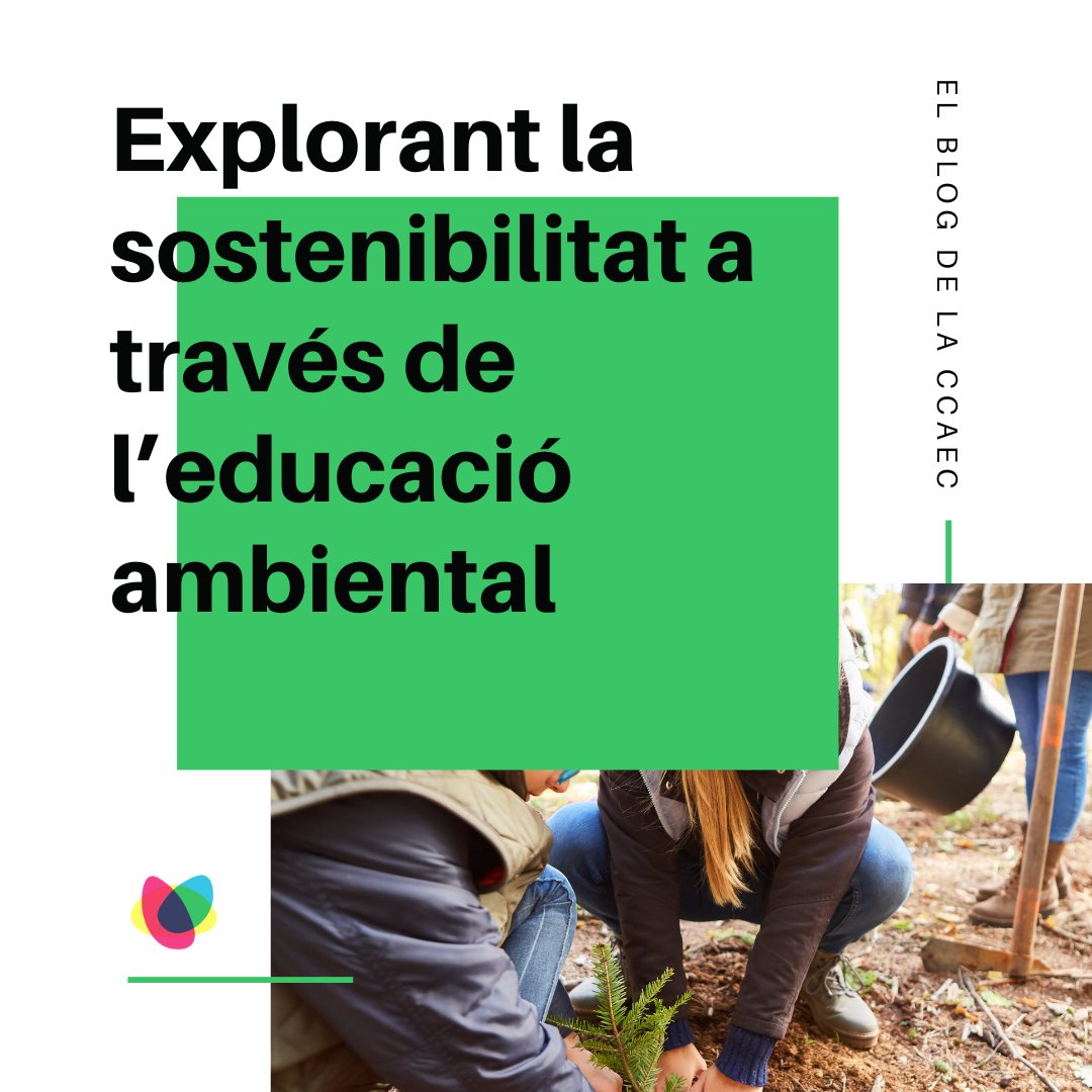 🌍 Descobreix l'educació ambiental com a eina per a un futur més #sostenible!  💡L'aprenentatge sobre el canvi #climàtic, la #biodiversitat i la gestió de #recursos ens prepara per afrontar els reptes ambientals del segle XXI. 🌱  👉 Tot l'article: ccaec.cat/explorant-la-s…