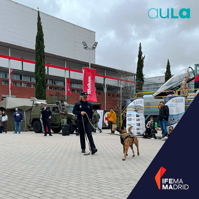 ¿Sabías que en #AULA disfrutamos de una exhibición de perros policía en acción? 🐶 Fue una de las muchas actividades de las que disfrutamos y con las que descubrimos nuestra pasión. 🙌 #SemanadelaEducación