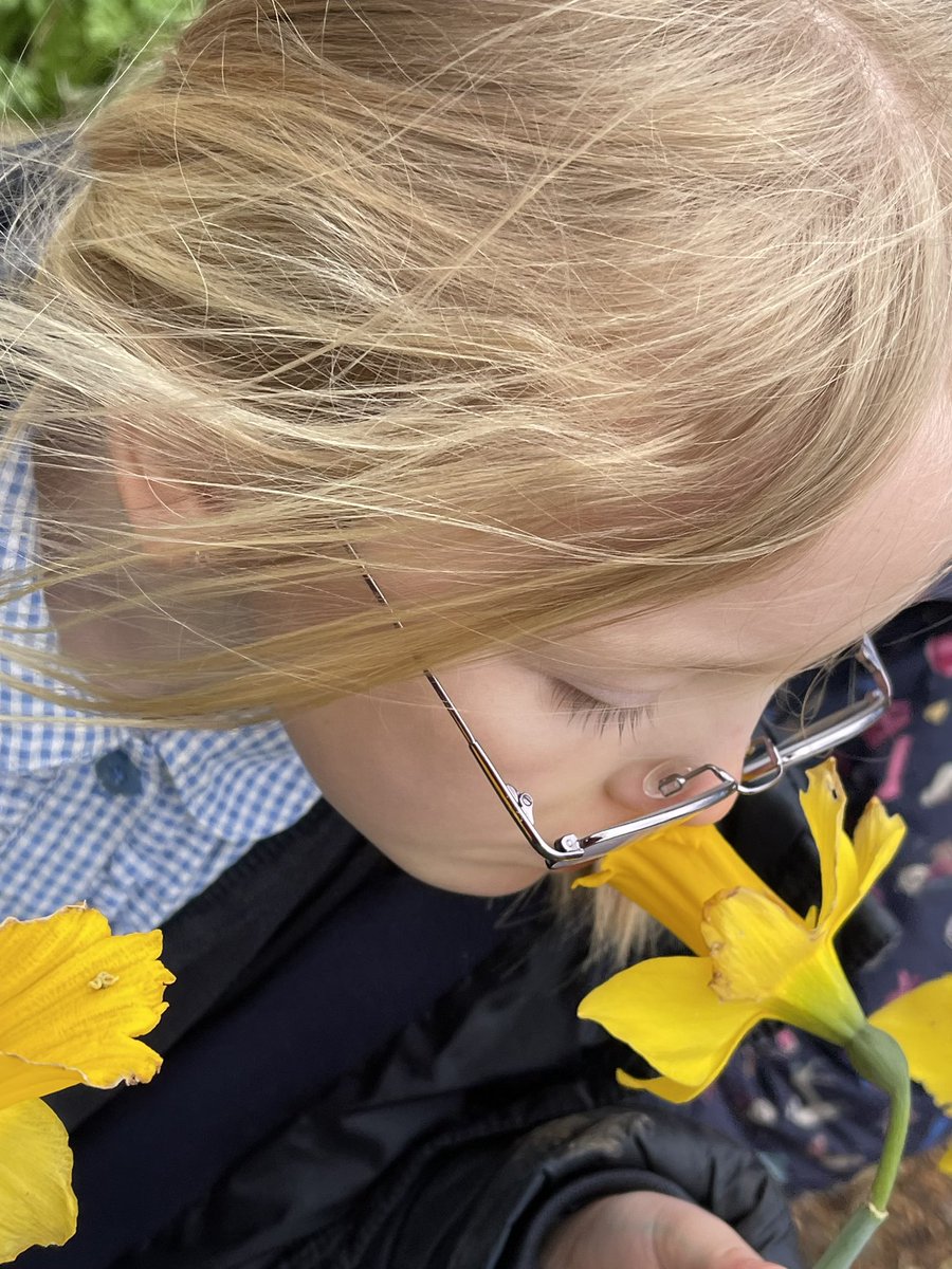 #fs #dwynwen investigating signs of spring @FSAForestSchool @CoedCadw #wellbeing