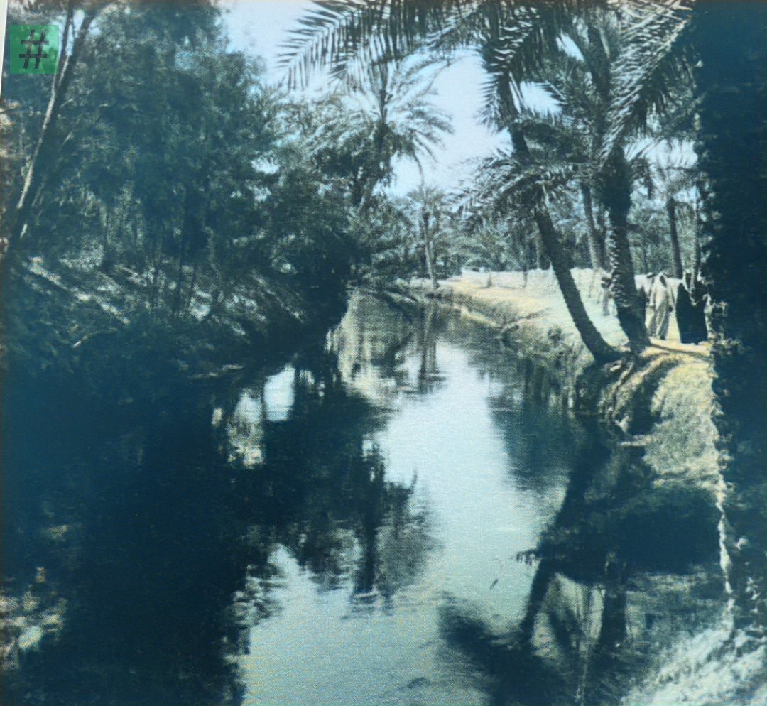 hashalhsa's tweet image. صورة: قديمة  لأحد أنهار #الاحساء  ،و قد نشرت في أحد إصدارات مكتبة الملك عبدالعزيز العامة.

تم تلوينها
@A_Althrman