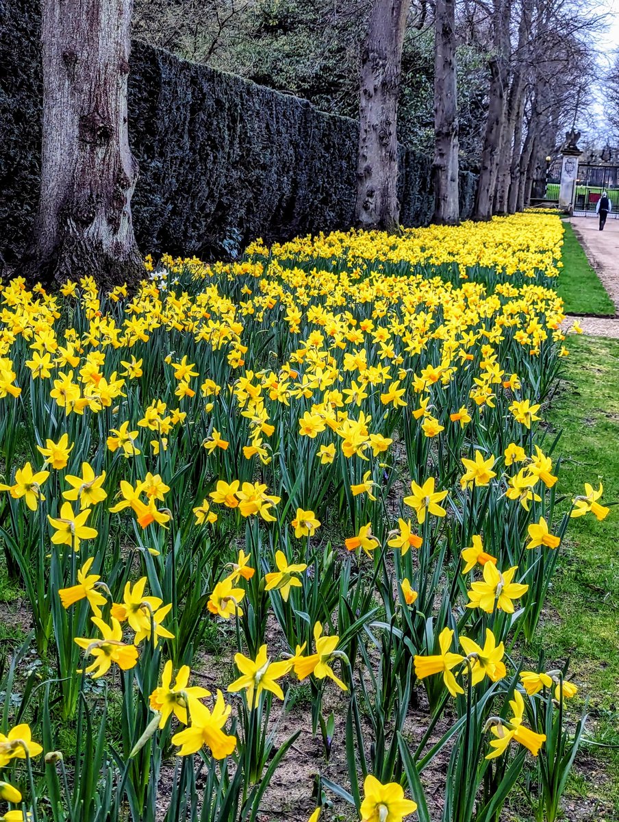 #spring @stjohnscam @Cambridge_Uni