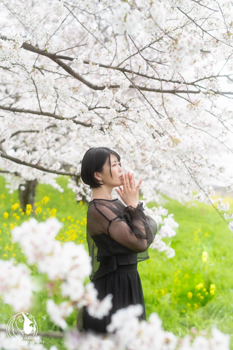 願い。

mode：Aino(@nyan__115)

camera：PENTAX K-1 markⅡ
lens：HD PENTAX DFA★50mm F1.4  SDM AW
filter：KANI CDF No.2

#桜

#知名度を上げたいので拡散してください
#作品を見て欲しい

#ポートレート #ポトレ #pentax #pentaxk1mkii #pentax_dfa50 #KANI_Filter