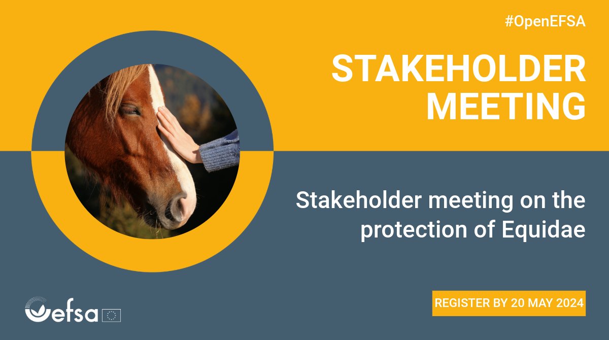🫏 🐴 Calling all stakeholders! 📆 Join us on 19 June for a meeting on the protection of #Equidae – horses, donkeys, and hybrids. Let's work together to increase #AnimalWelfare standards in the EU! ✍️ Register by ⏲️ 20 May Learn more → europa.eu/!MXjTGD #AnimalHealth