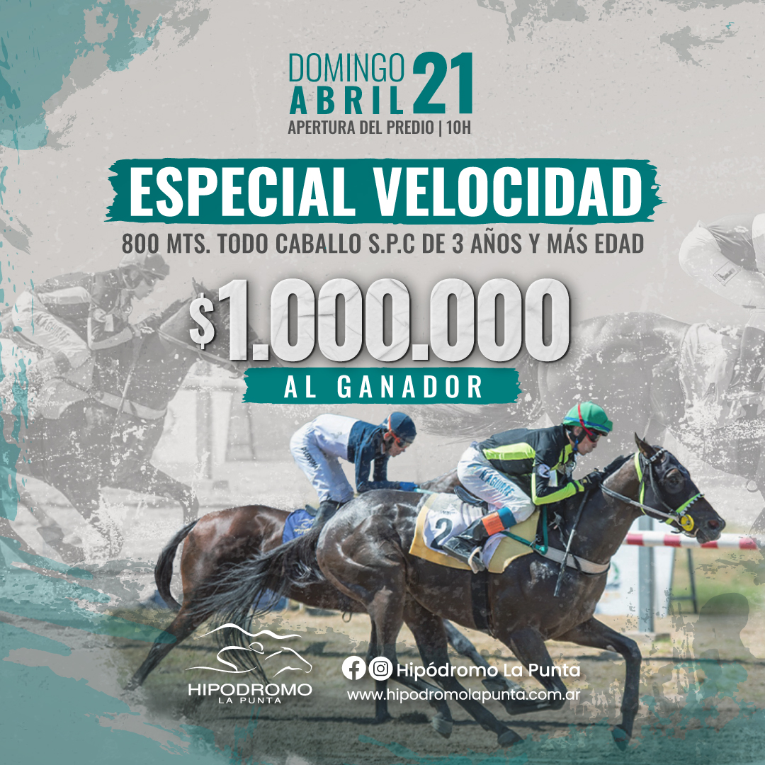 HIPODROMO LA PUNTA tweet media