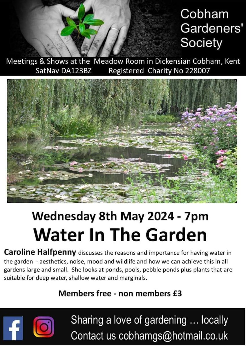 Cobham Gardeners' Society have a couple of blooming lovely events coming up in #Cobham this month & in May🪻 Spring Show & Plant Sale, Meadow Room, this Sat, 2pm 🌻 Water in the Garden talk, Meadow Room, 8th May, 7pm with Caroline Halfpenny 🐸