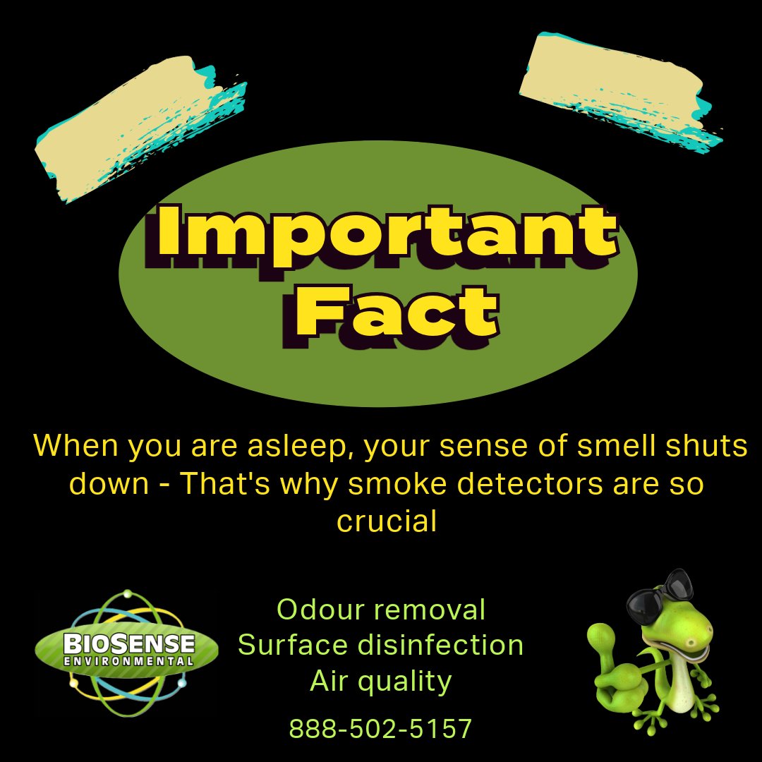 BioSenseEnviron's tweet image. Don't rely on your sense of smell to keep you safe from fires! Even the best noses can't replace a smoke alarm.  
#realtor #propertymanagers  #odorremoval #disinfection #airbnb #airquality #guelphrealtors #kitchenerrealtors #cambridgereltors #waterloorealtors