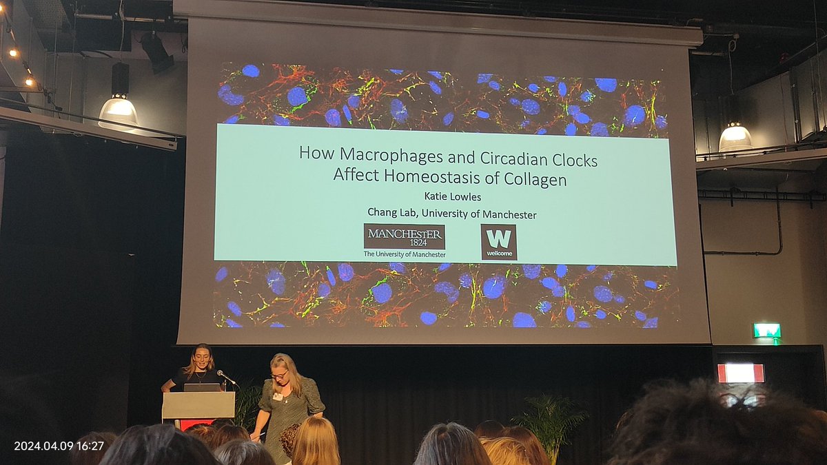 tranejoan's tweet image. #ProudPI moment @KatieLowles giving a talk on #macrophages 
, #circadian and #collagen deposition @BSMB1! @MCF_UoM @wtccmr