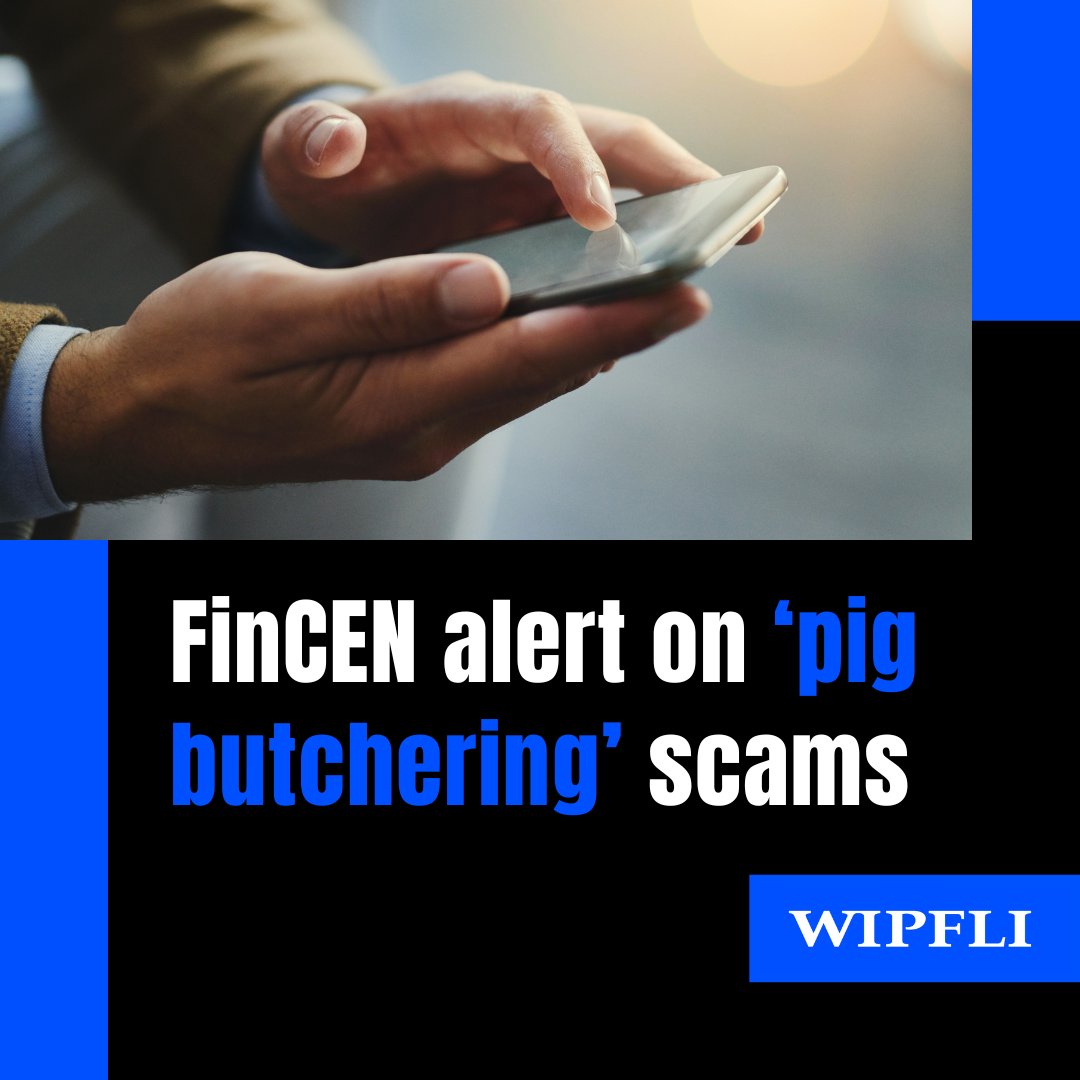 Prepare your financial institution to detect and report “pig butchering” Scams. Learn more about the warning signs to watch for. wipfli.com/insights/artic… #fraud