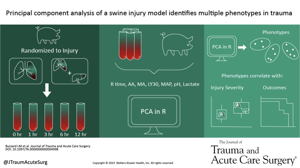 Principal component analysis identifies multiple coagulation phenotypes after trauma, some of which correlate with survival and injury severity. #JoTACS #TraumaSurg #SurgTwitter #MedEd #SoMe4Surgery #MedTwitter #MedStudent journals.lww.com/jtrauma/fullte…