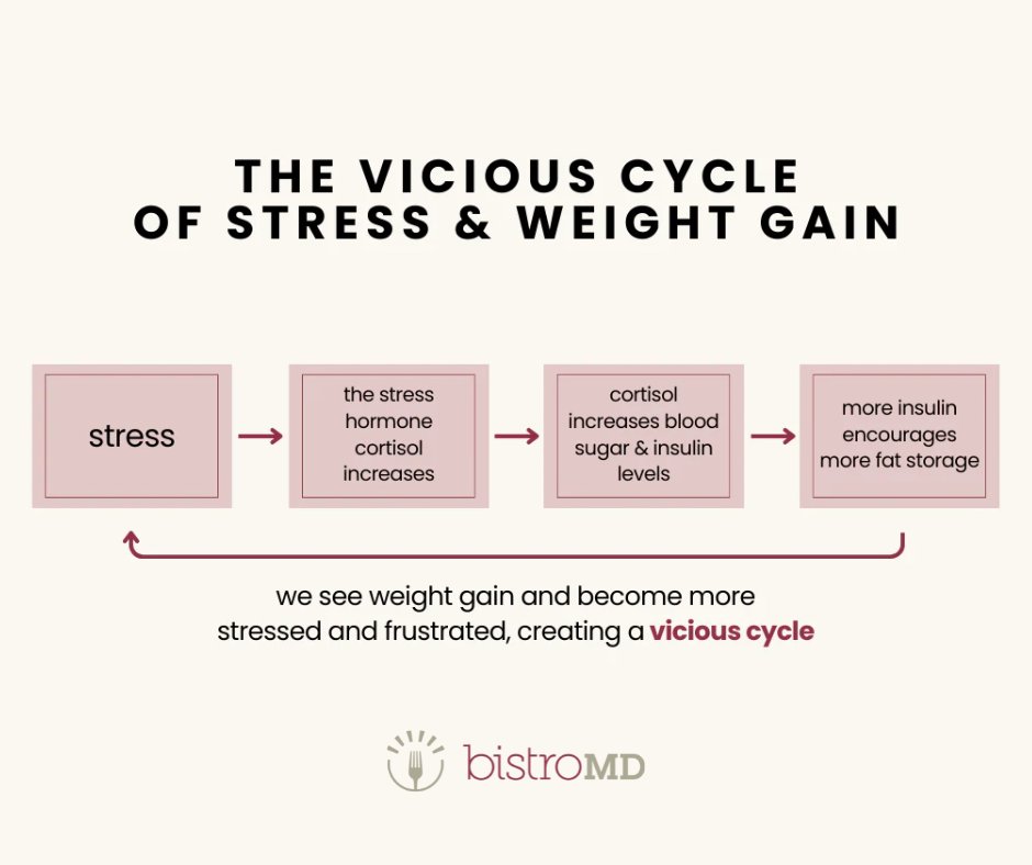 bistroMD tweet media