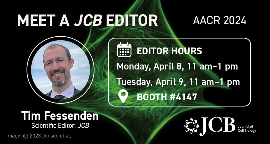 📢 Attending #AACR2024 and interested in submitting your cancer research to JCB? Meet our Scientific Editor Tim Fessenden @timisstuck! Tim will be at @RockUPress booth #4147 TODAY: Tue. 4/9 11am–1pm! See our Cancer Cell Biology collection: hubs.la/Q02rGwmr0