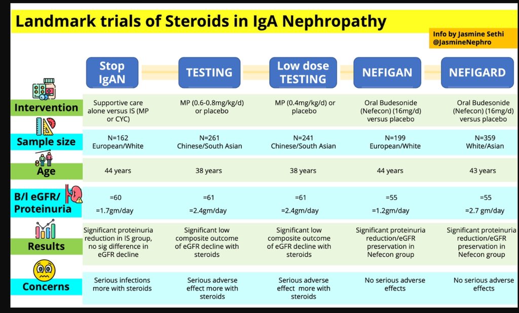 💊Budesonide and IgA Nephropathy 

❌Not just a routine steroid

👉Budesonide is a targeted release steroid-Minimizes systemic steroid S/E

👇Acts on 4 hit model of IgA pathogenesis

🤷‍♀️TESTING/ Stop IgA/Nefigard-IgAN must know trials 👇

Read interesting @NephJC blog ✍️by me and…