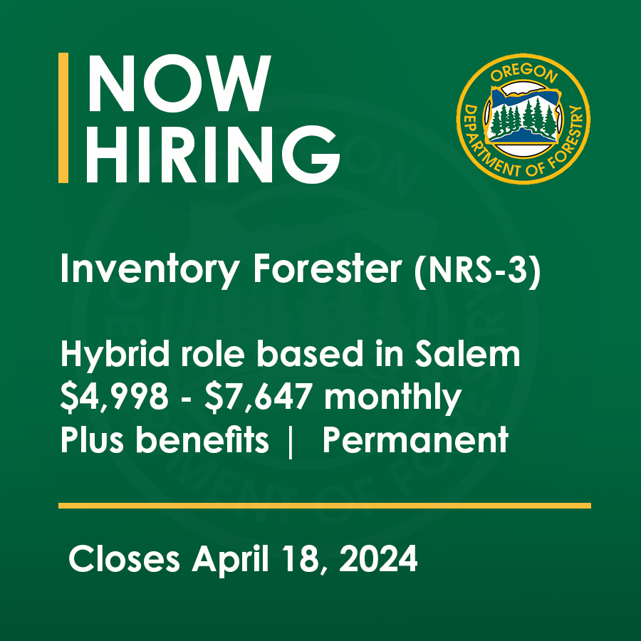 ORDeptForestry's tweet photo. ODF is hiring for an Inventory Forester (NRS-3). This is a hybrid role, full-time position based out of Salem. Position closes April 18, 2024.

Apply &amp; learn more at: https://t.co/tvChqFzyEY https://t.co/nBBU66UWYd