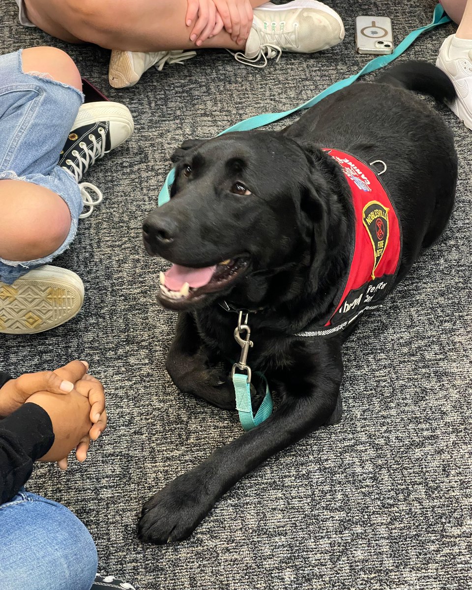 The @NoblesvilleFD K9 therapy dog, Carbon, stopped by to greet the Mayor’s Youth Council at their first meeting back from Spring Break. Wishing everyone a great week back to work and school after Spring Break & the Total Solar Eclipse!