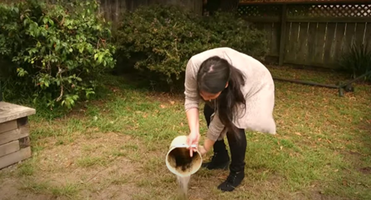 Do you have a container full of water on your property after the recent storms? Please empty them out so they do not become a breeding ground for #mosquitos. Watch this video for more mosquito prevention tips ow.ly/SxKw50RaYyT