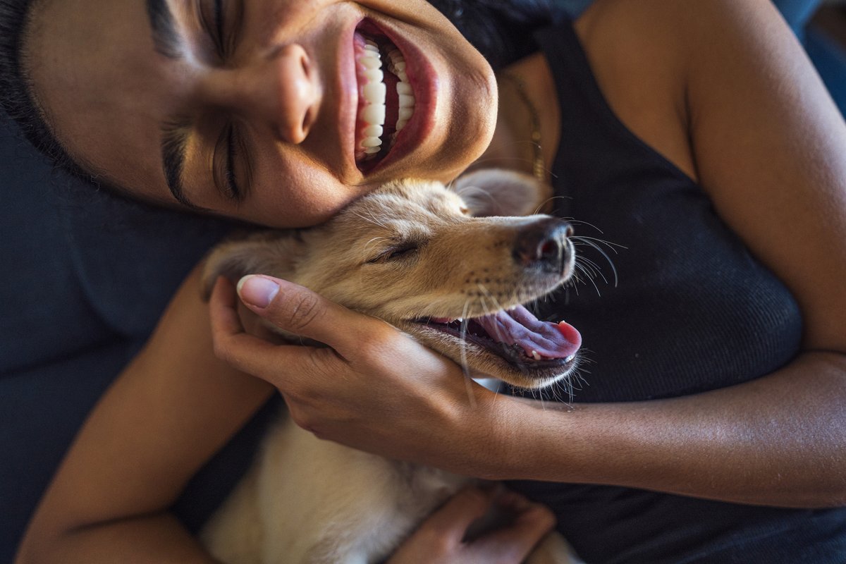 Give an extra treat, it’s #DogAppreciationMonth! #Dogs are loyal, comforting companions that can also help #DecreaseStress, improve #HeartHealth, reduce loneliness and boost your mood. Learn about more #HealthBenefits from owing a #pet at bit.ly/4cSpOaQ #Wellvolution