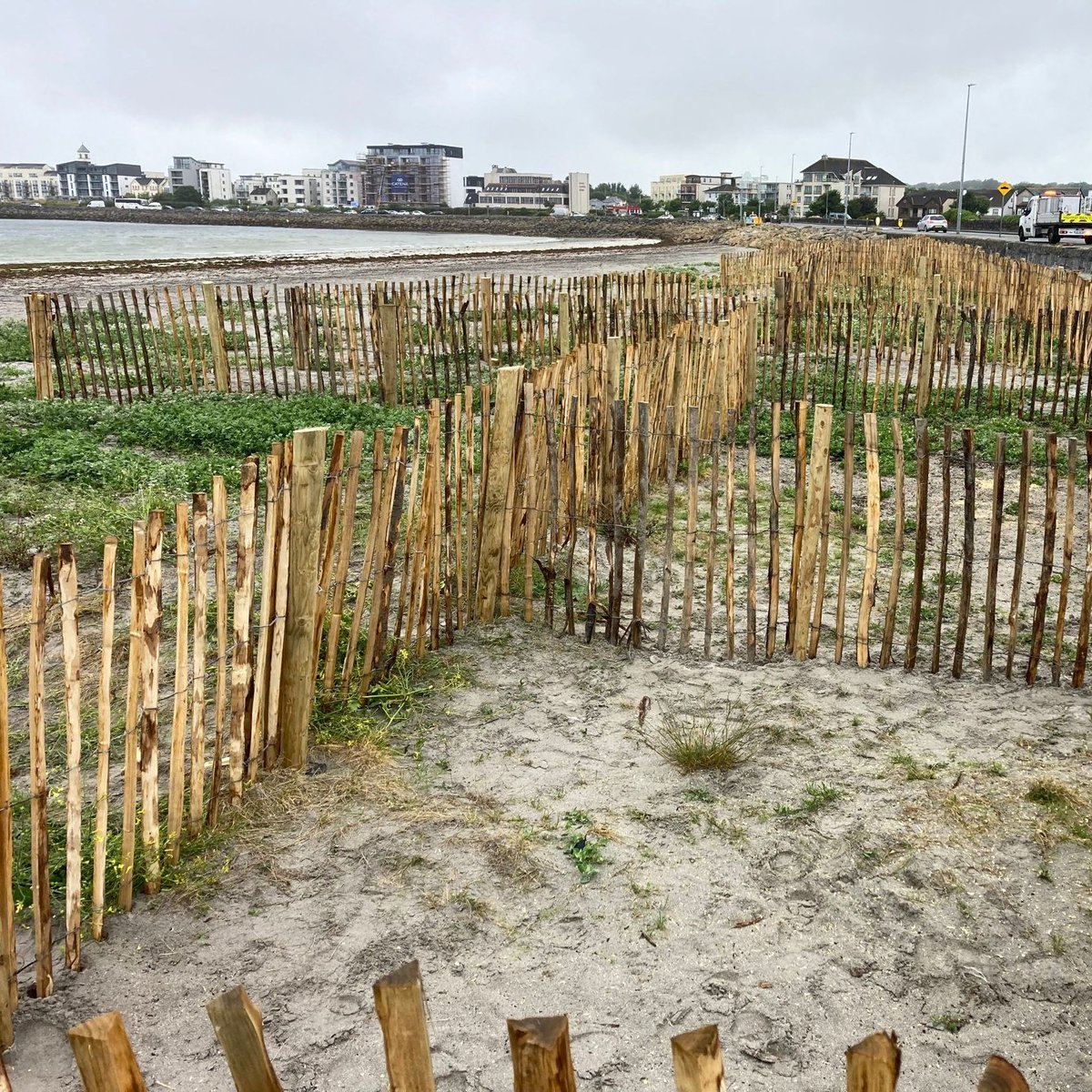 Grattan Beach Sand dune fencing will be reinstalled on Saturday 13 April. Fencing supports the embryonic dune system as a Nature Based Solution - buffering Grattan Rd during recent storms! Thanks to GCC Parks Staff, University of Galway, the Atlantaquaria and local community!