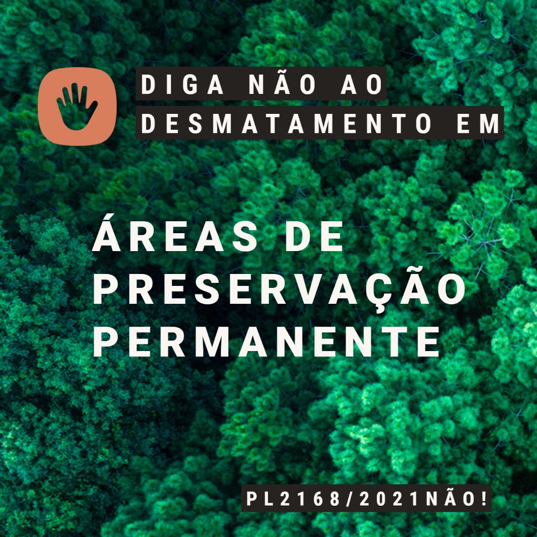 URGENTE! MOBILIZAÇÃO contra o #PL2168NÃO que ataca as florestas que protegem as beiras de rios e o Mais um #pacotedadestruição em curso no Congresso Nacional #SalveOCódigoFlorestal