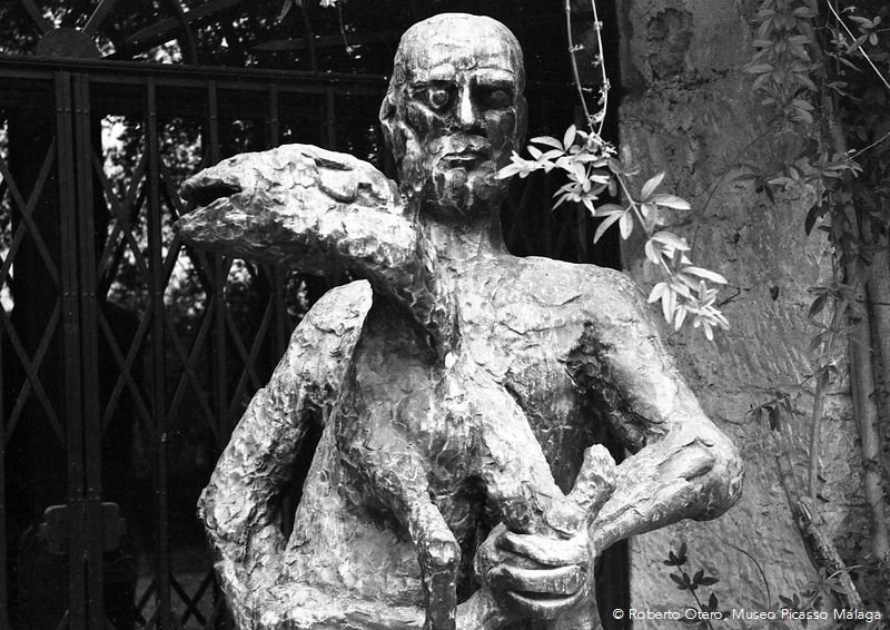 🧑‍🎨#Picasso tenía diversas esculturas en el jardín de su casa en Notre-Dame-de-Vie. Una de ellas era 'El hombre del cordero' (1943), vinculada a la tradición iconográfica del primer cristianismo, el del Buen Pastor. 📷Imagen del #FondoOtero. ℹ️ museopicassomalaga.org/fondo-otero