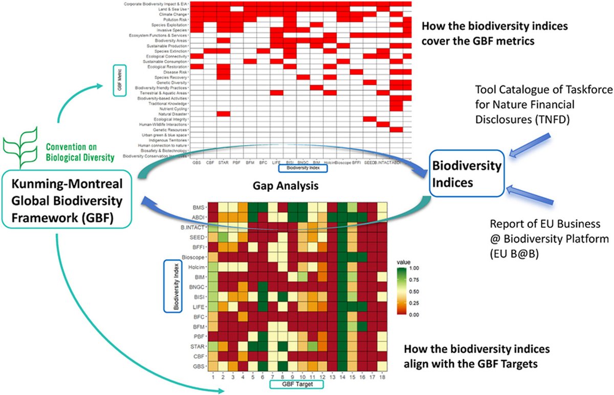 1/2 New paper by @grahamprescott @lromancarrasco and colleagues is an impressive and useful analysis of how #biodiversity metrics and frameworks used by businesses align (or, don't align) with the Global Biodiversity Framework,