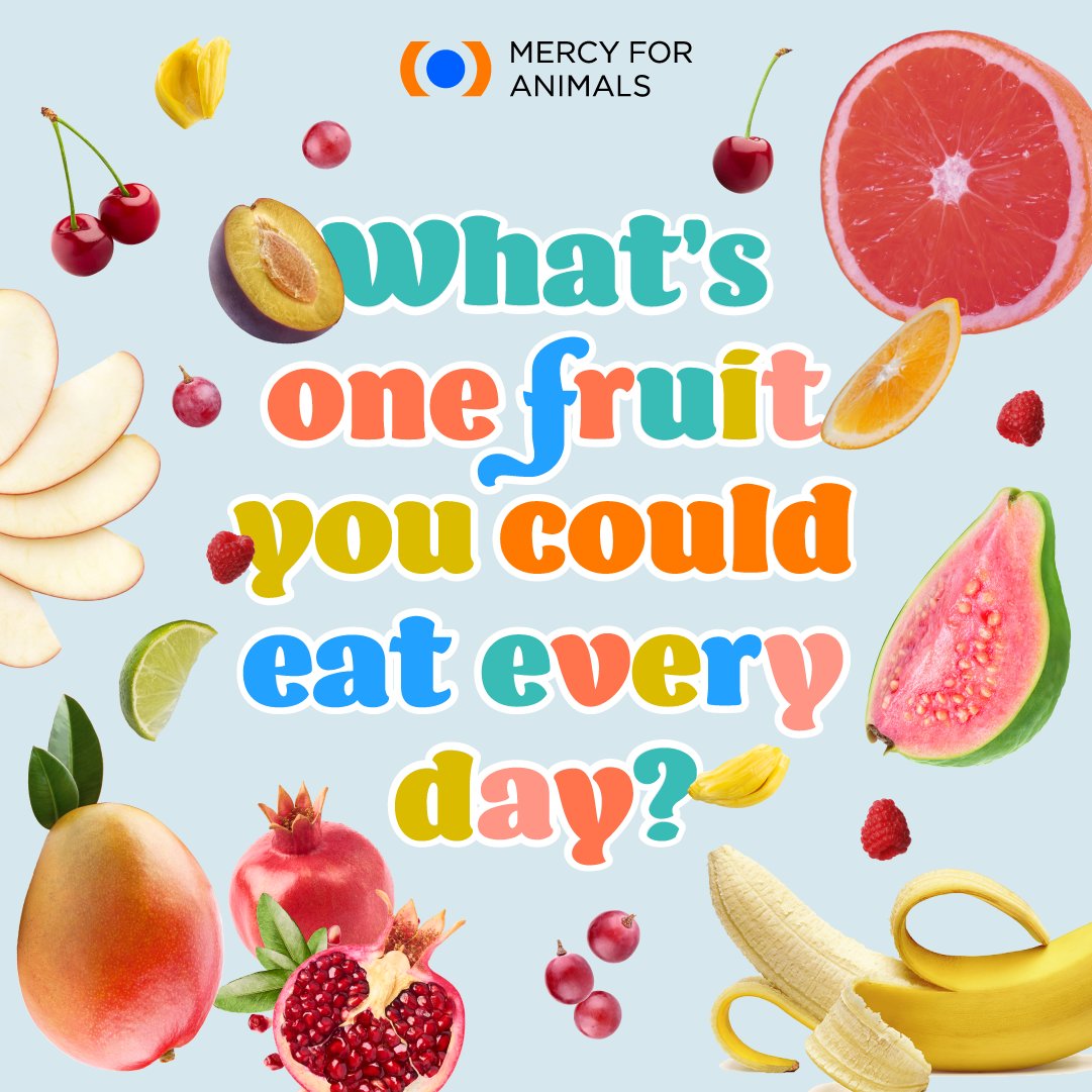 If you had to choose just ONE fruit to devour daily, which would it be? Drop your vote below, and let's find out which #fruit comes out on top! 🍊🍎
