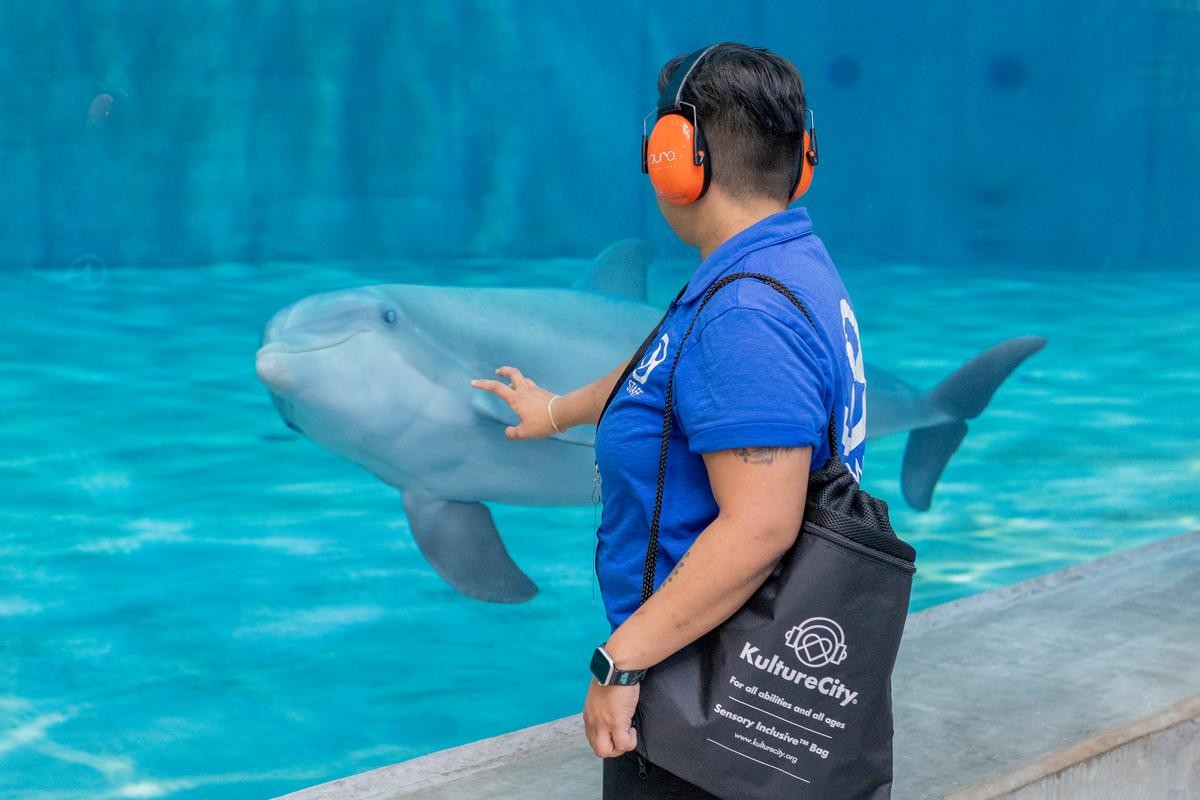 It’s #AutismAwarenessMonth! Did you know? When you visit Clearwater Marine Aquarium you can check out a @kulturec Sensory Bag containing special KCVIP badges, fidget tools, verbal cue cards, and noise canceling headphones! We invite you to join us for a wonderful day at CMA.