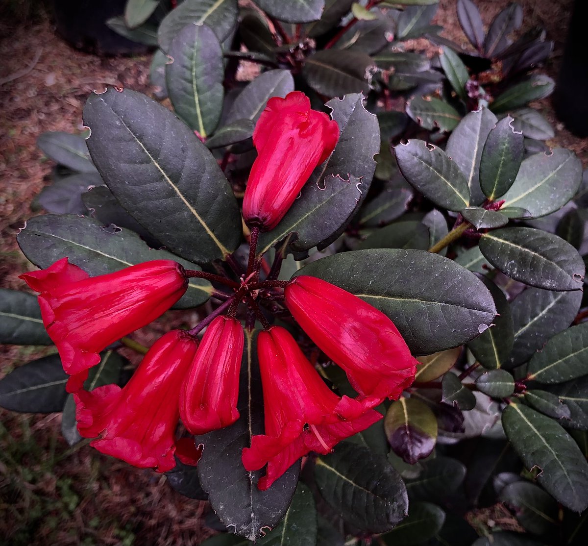 Jeff Benca tweet media