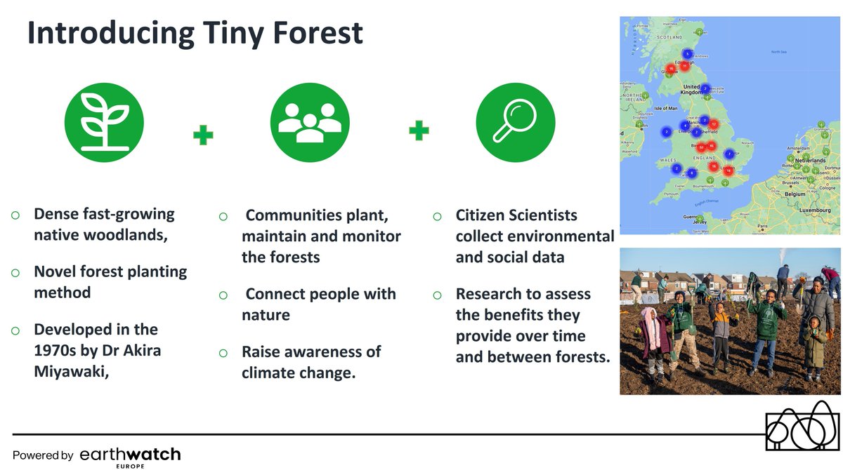 1/6 #BOU24 #Break1 The #TinyForest movement brings a unique feature in the urban forest network - since 2020 @Earthwatch_Eur & partners have planted >220 TFs in cities in UK & NL providing much needed 'wild' habitats for biodiversity and people