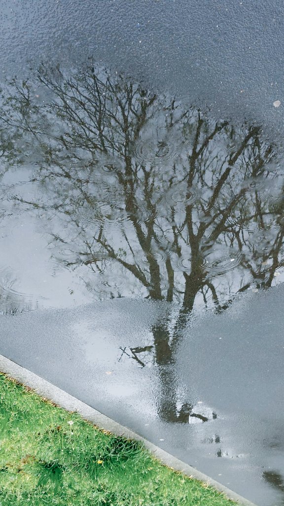 Vestígios de invierno.