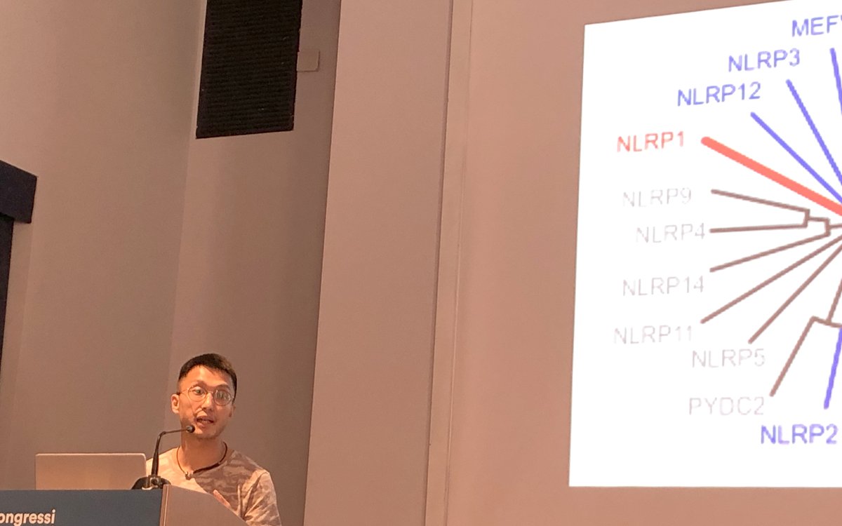 Great @EMBO Young Investigator Lecture on #inflammasomes by Franklin Zhong @NTUsg  @ASTARsg this afternoon at the EMBO Workshop #Pathogen #Immunity and #Signaling in Venice. 

#EMBOsignaling24 @EMBO_YIP