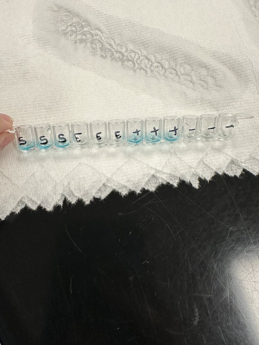 Kelsey Wilson (@kelswilson3) on Twitter photo <a href="/IrvingHigh/">Irving High School</a> biomed freshman had an infectious outbreak today! We figured out who’s infected & who wasn’t with <a href="/BioRadEducation/">Bio-Rad Explorer</a> ELISA Immuno explorer kit.. Next class we’ll learn the importance of PPE & proper handwashing!
<a href="/IrvingISD/">Irving ISD</a> <a href="/iisdCTE/">Irving ISD CTE</a> <a href="/IrvingHigh/">Irving High School</a> biomed freshman had an infectious outbreak today! We figured out who’s infected & who wasn’t with <a href="/BioRadEducation/">Bio-Rad Explorer</a> ELISA Immuno explorer kit.. Next class we’ll learn the importance of PPE & proper handwashing!
<a href="/IrvingISD/">Irving ISD</a> <a href="/iisdCTE/">Irving ISD CTE</a>
