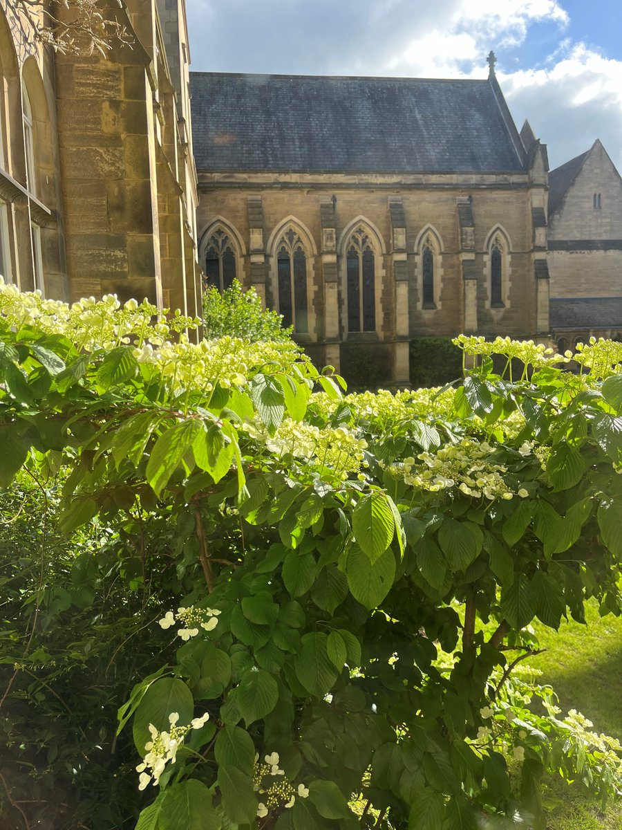 A little bit of sunshine + some Spring flowers + a lovely location = happy me. @HMCOxford @UniofOxford