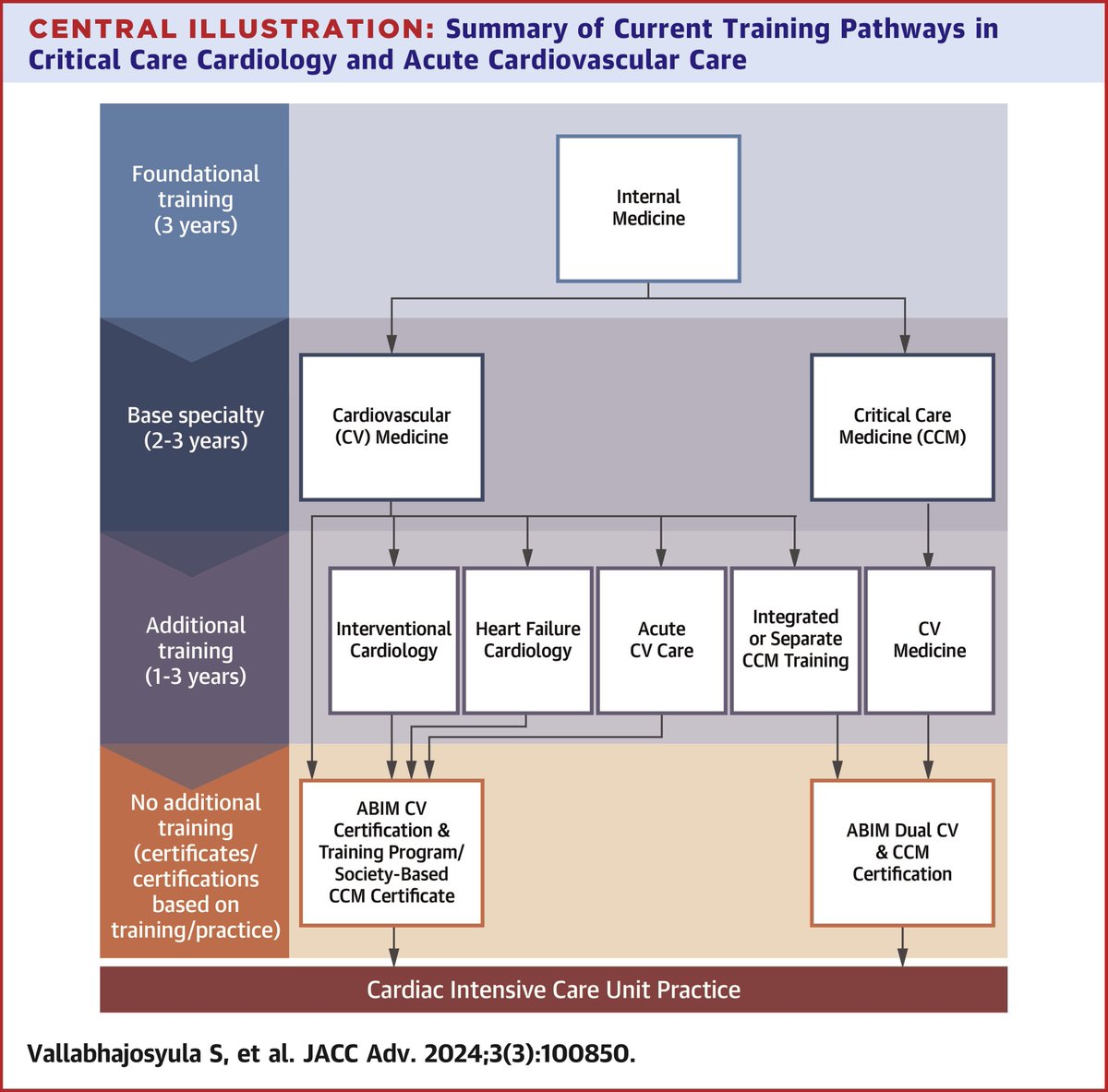 Thinking of a career as a critical care cardiologist? Read about the multiple training pathways or listen to advice from the experts, @JasonKatzMD, @ShashankSinhaMD, & @docbhardwaj on the #JACCAdvances Pulse. #ACCFIT 📎: bit.ly/3Uk5NTH 🎧: bit.ly/49viCi0