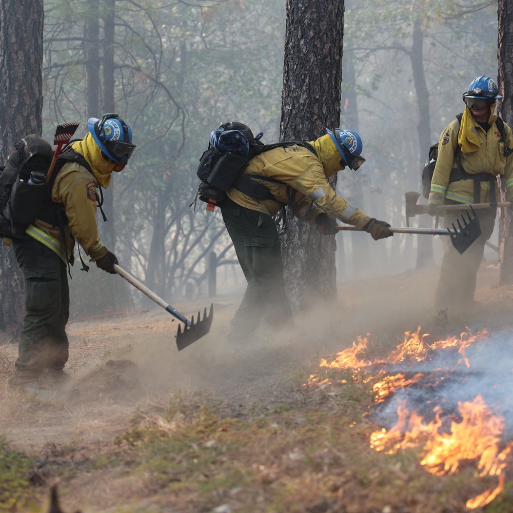 CAL_FIRE tweet picture