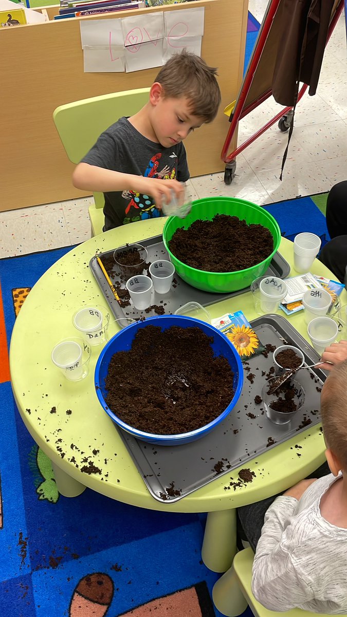 IFroom110's tweet photo. Planting seeds in room 110. https://t.co/P4CBrdZgIu