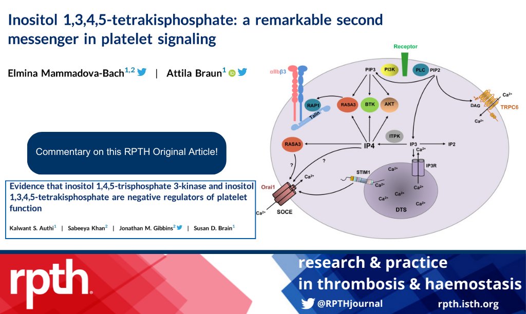 👏Elmina Mammadova-Bach and @attila_braun provide commentary on new findings that IP4 is an important #platelet signaling molecule. Read there insight here: rpthjournal.org/article/S2475-… Find the original paper here: rpthjournal.org/article/S2475-…