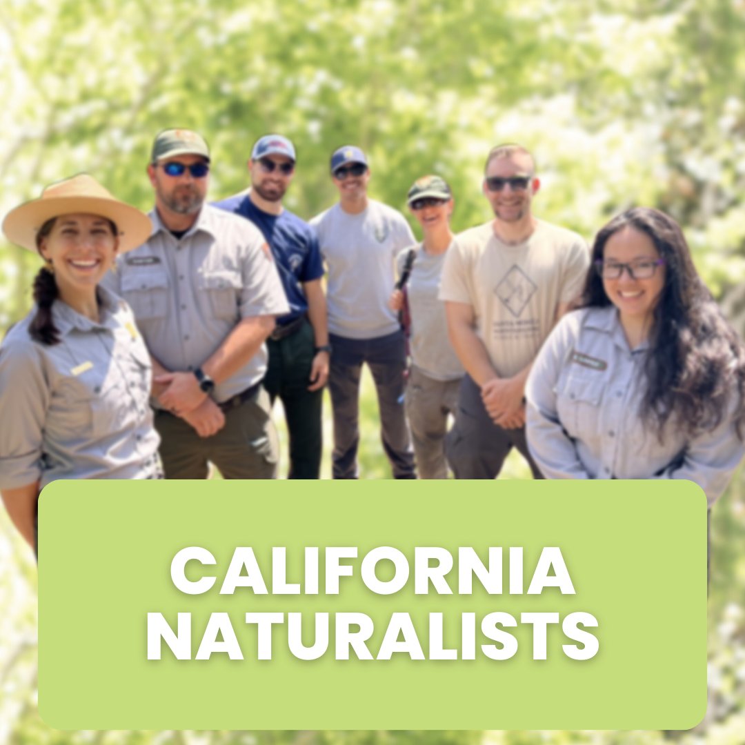 Tickets now open for the Cal Nat Zoom class:
eventbrite.co.uk/e/california-n…

#CaliforniaNaturalist  #NatureEducation #EnvironmentalScience #NatureLovers #SantaMonicaMountains